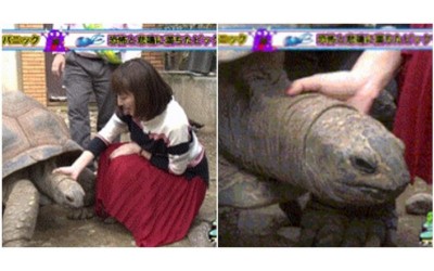 電視還在播她還一直搓  日本女主播竟當眾用純熟的手技「摸龜頭」..果然讓網友高潮啦