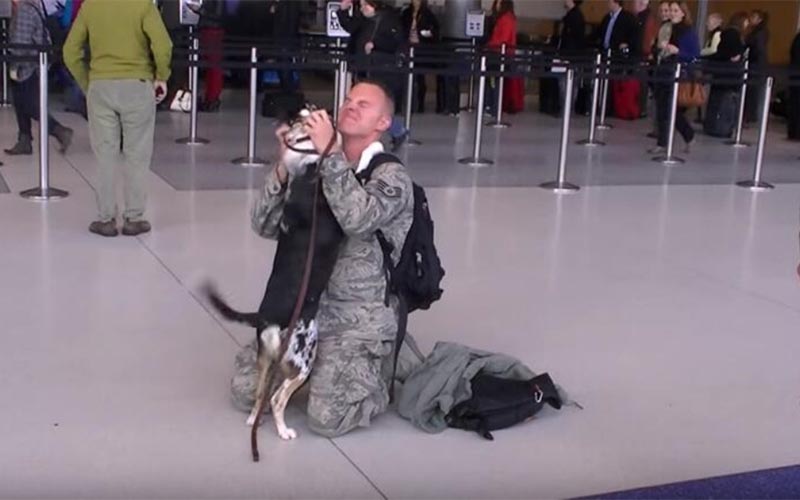 軍人爸爸終於回家「狗狗趕來接機」重逢瞬間，牠的反應令人融化！