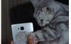 不要不相信  貓咪肉球也能解鎖手機