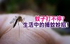 《科學小知識》蚊子還是打個不停生活中的捕蚊妙招