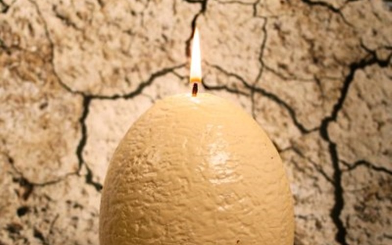 這顆「恐龍蛋」蠟燭一點也不簡單，只要將它點燃後不久就會看到＆＃8230;..