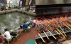 釣蝦場濁綠水池的蝦真的能吃嗎？網友專業發文公開業者秘密：難怪泰國蝦越北越貴！