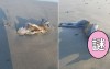 日本網友在海邊發現「神秘乾屍」  走向前一看被他模樣完全嚇壞...全網路熱議