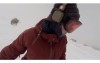 她戴耳機悠哉滑雪自拍，渾然不知背後「巨熊沿路追殺」直到重看影片才發現自己逃過一劫