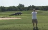 高爾夫球打到一半驚見「5M史前巨鱷」悠閒散步，球場員工反應超淡定...