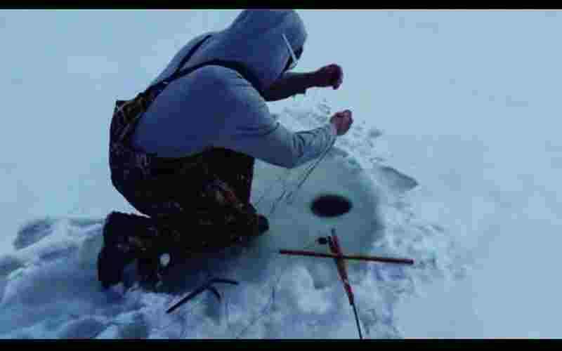 遊客在冰湖上鑿一個洞來釣魚，沒想到竟然釣到活生生的．．？牠怎會在裡面？