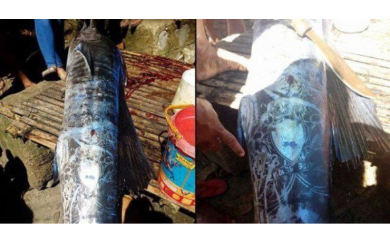 菲律賓漁民捕獲了「全身刺青的怪魚」照片傳開後立刻引發熱議！仔細看上面的圖騰...毛骨悚然！