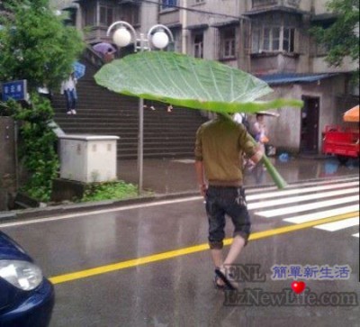 哥撐的不是傘，是種意境。