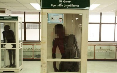 泰國「連環食童魔」判死槍斃仍難熄眾怒，製成乾屍放博物館供人唾棄60年