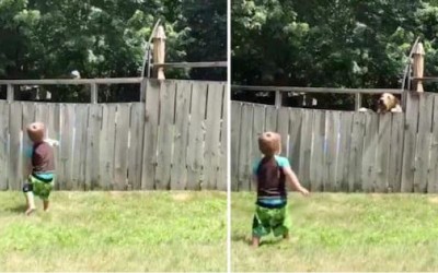 圍欄也無法阻止2歲兒跟「鄰居狗狗玩耍」網友融化：這是一種純粹的幸福～